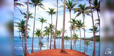 13 Best Beaches In Sri Lanka For Beach Holiday 2020!