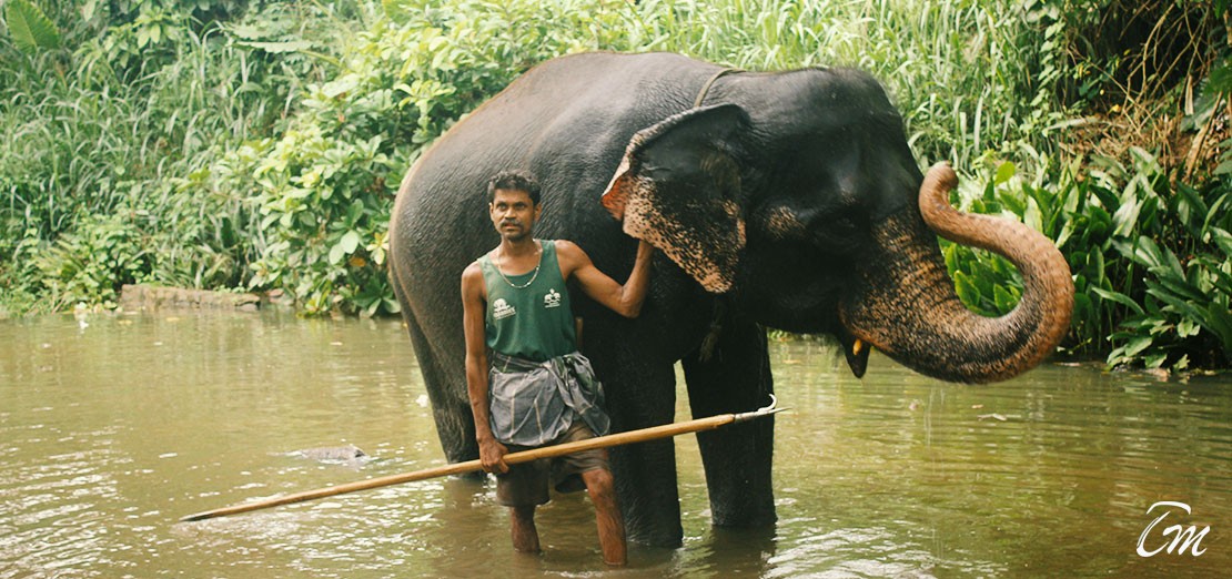 8 Days Sri Lanka Heritage Private Tour Package 