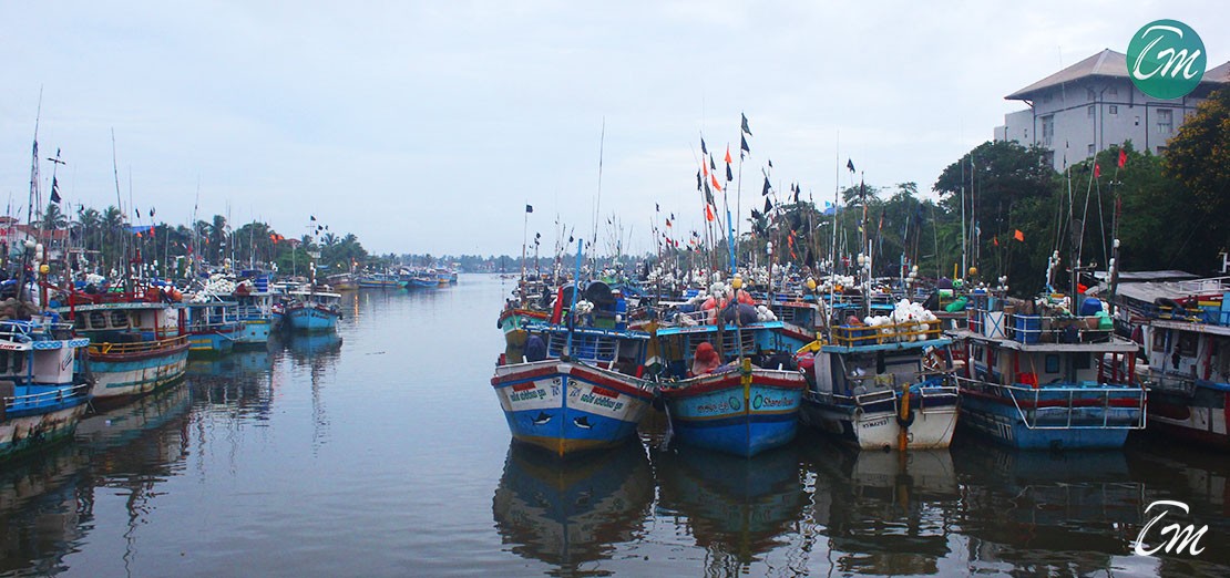 Negombo Fishing Market